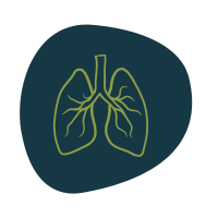 coaching respiratoire - mécanique